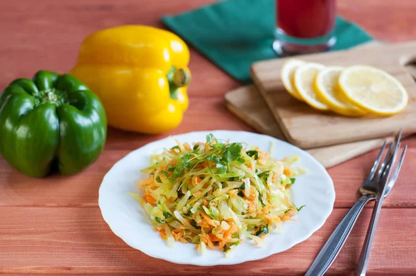 Frischer Sommersalat mit Kohl, Karotten und Gemüse — Stockfoto