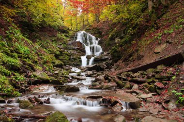Şelale sonbahar Shipot