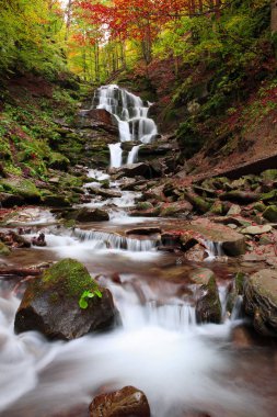 Şelale sonbahar Shipot