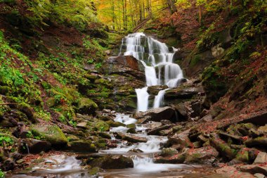 Şelale sonbahar Shipot