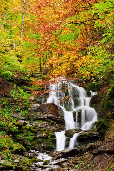 Şelale sonbahar Shipot