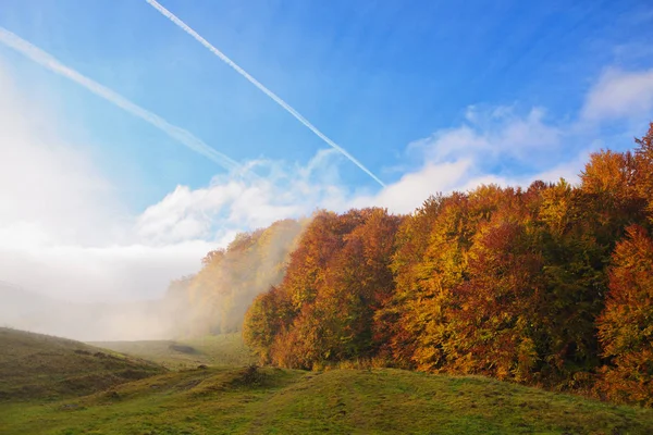 Gouden herfst in de Karpaten — Stockfoto