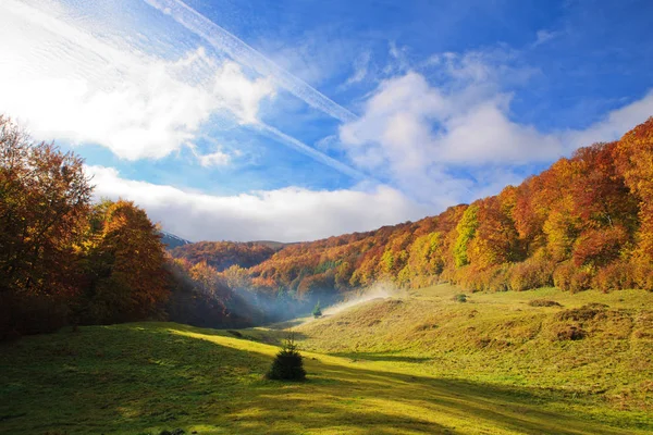 Goldener Herbst in den Karpaten — Stockfoto