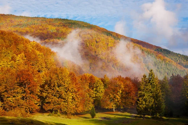 Zlatý podzim v Karpatech — Stock fotografie