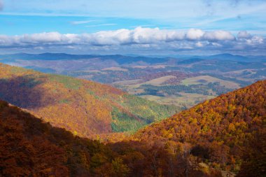  Karpatlar altın sonbahar