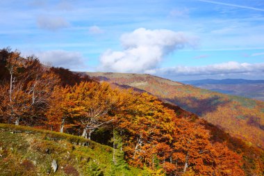  Karpatlar altın sonbahar