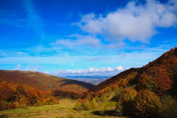 Golden Autumn in the Carpathians — Stock Photo, Image