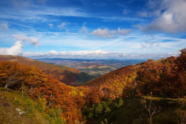 Karpatlar altın sonbahar — Stok fotoğraf