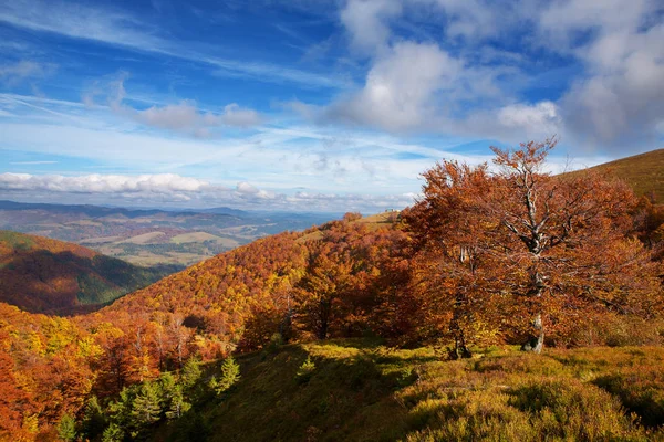 Golden Autumn in the Carpathians — Stock Photo, Image