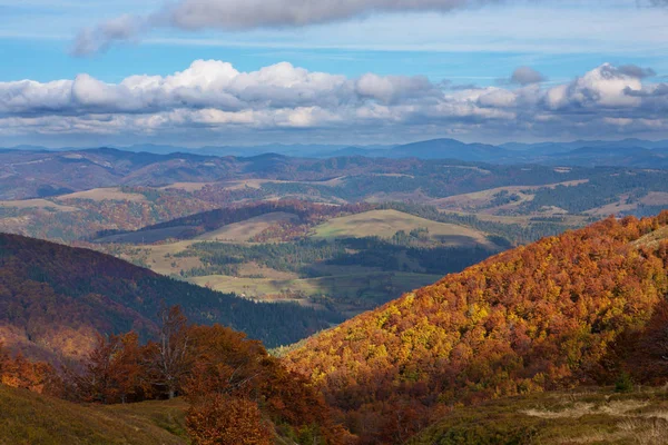 Buchenwald im goldenen Herbst. — Stockfoto