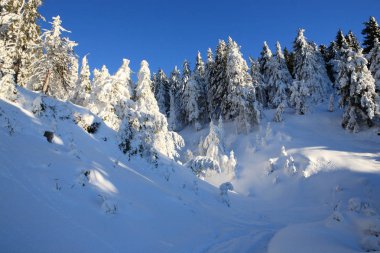 Dağların soğuk güneşli bir günde