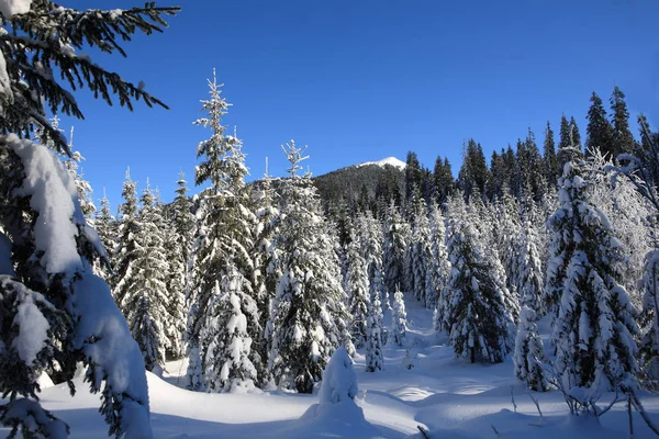 Frostiga soliga dag i bergen — Stockfoto