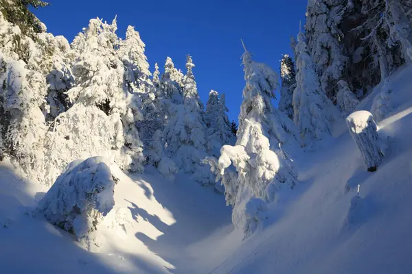 Frostig sonniger Tag in den Bergen — Stockfoto