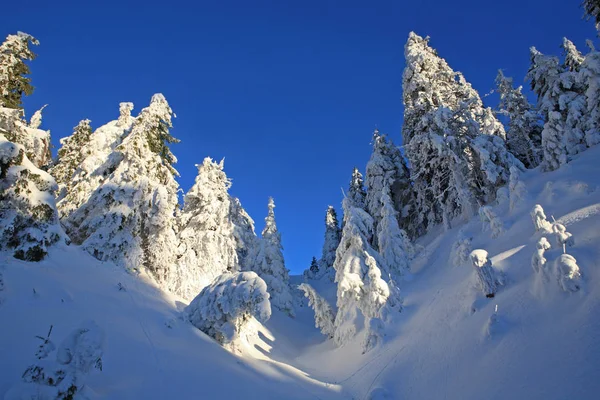 Dağların soğuk güneşli bir günde