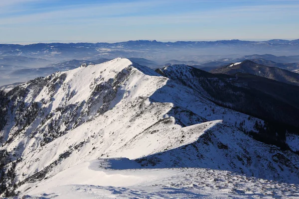 Winter morning in the Carpathian mountains — Stock Photo, Image