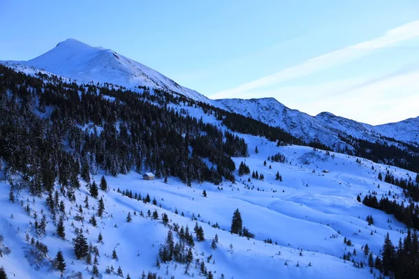 Evening in winter Carpathians — Stock Photo, Image