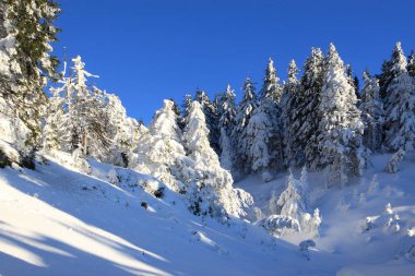 Dağların soğuk güneşli bir günde