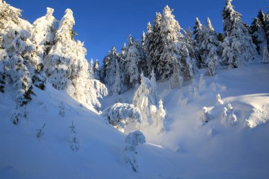 Dağların soğuk güneşli bir günde