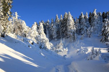 Dağların soğuk güneşli bir günde