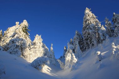 Dağların soğuk güneşli bir günde