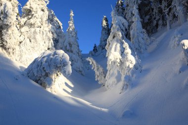 Dağların soğuk güneşli bir günde