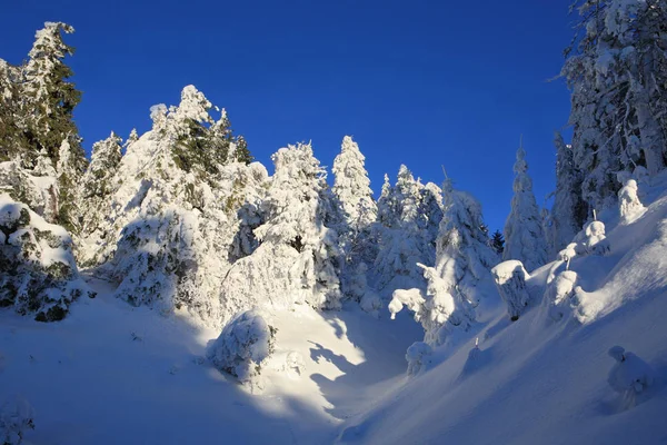 Dağların soğuk güneşli bir günde