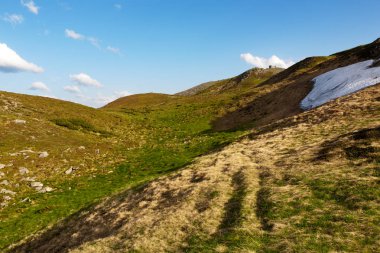 Yazın Karpat Dağları