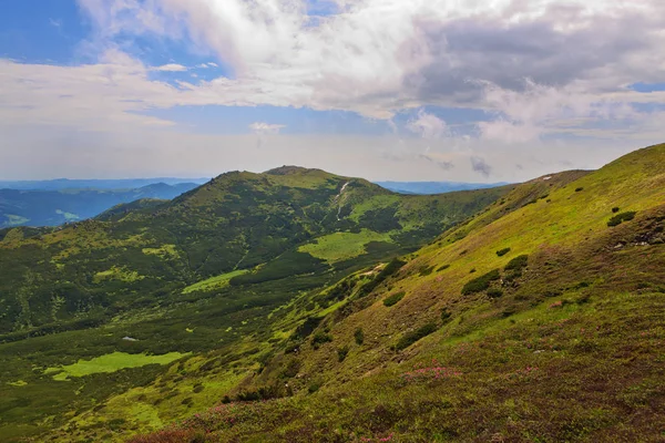 Montañas Cárpatas en verano —  Fotos de Stock