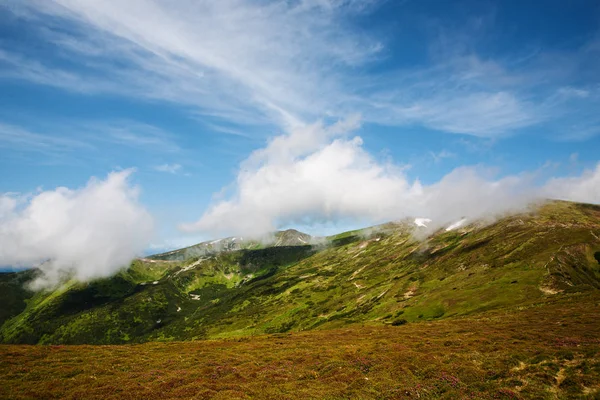 Carpathian Mountains in summer — Stock Photo, Image