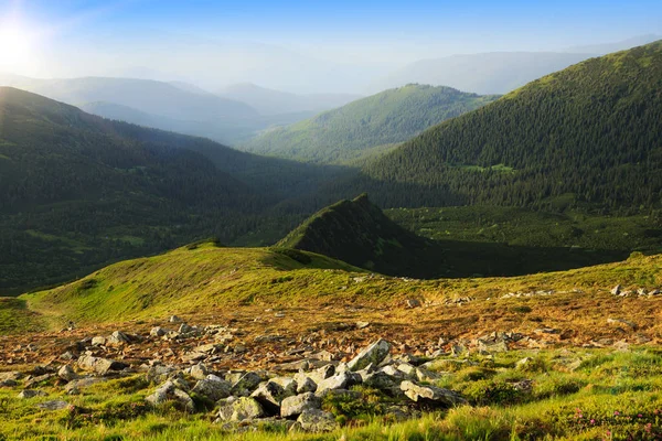 Carpathian Mountains in summer — Stock Photo, Image