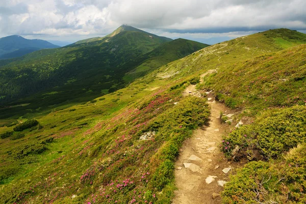 Hermosas vistas de Hoverla — Foto de Stock