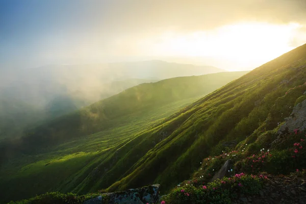 Summer sunrise in Carpathians — Stock Photo, Image