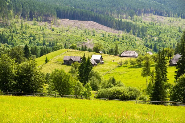 Casa en Cárpatos — Foto de Stock