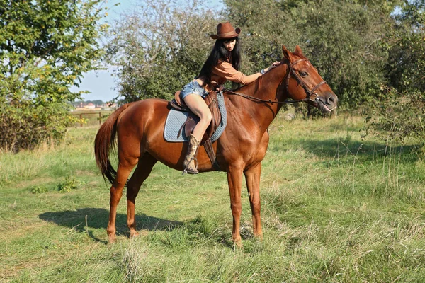 Horsewoman and her horse Stock Picture