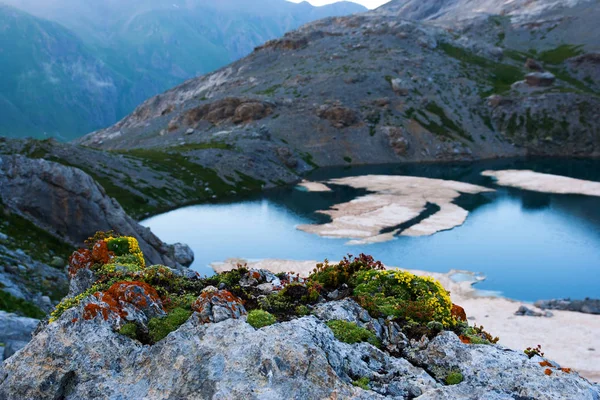 Bergsee im Hochland des Kaukasus — Stockfoto