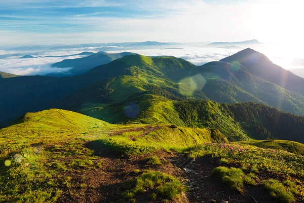 Montañas Cárpatos por la mañana. — Foto de Stock