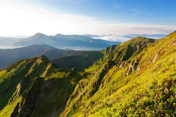 Montañas Cárpatos por la mañana. — Foto de Stock