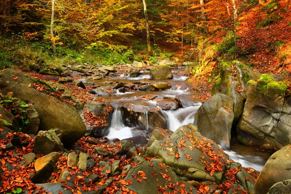 Waterfall in the autumn beech forest — Stock Photo, Image