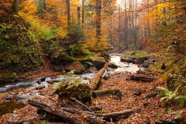 Καταρράκτης στο φθινόπωρο δάσος οξιών — Φωτογραφία Αρχείου