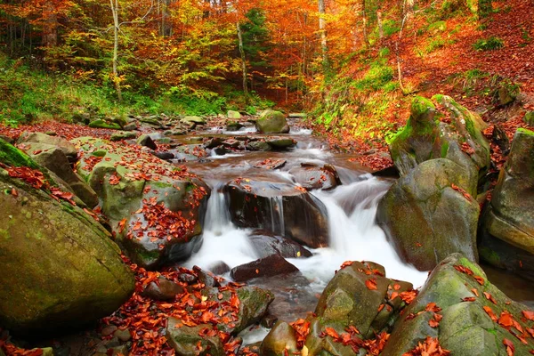 Magnificent view of the waterfall in the Autumn Beech Forest — Stock Photo, Image