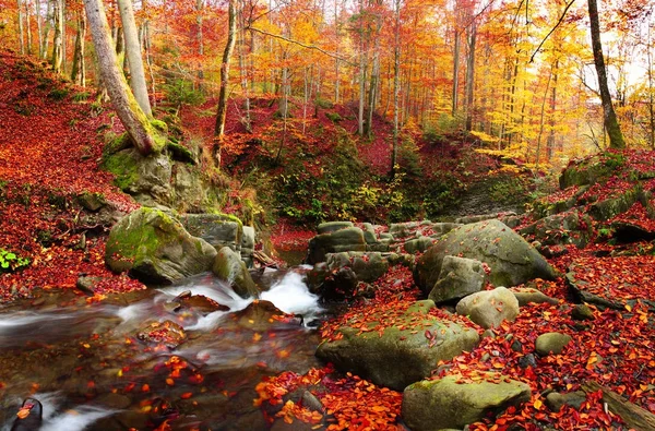 Μαγευτική θέα του καταρράκτη στο δάσος οξιών το φθινόπωρο — Φωτογραφία Αρχείου