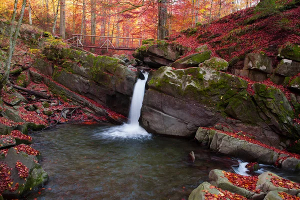 Magnifique vue sur la cascade dans la forêt de hêtres d'automne — Photo