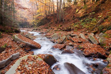 Şelale muhteşem görünüm 