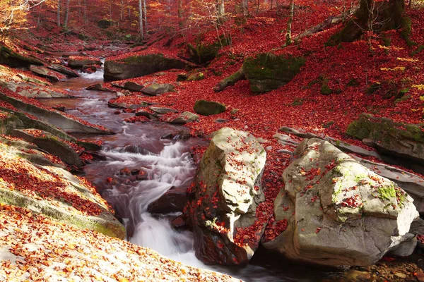 Wasserfall im Herbst Buchenwald — Stockfoto