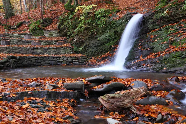 Pequena cachoeira na floresta de faia no outono . — Fotografia de Stock