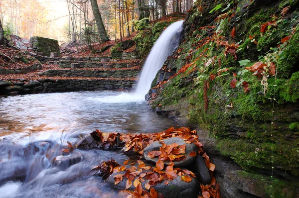 Pequeña cascada en el bosque de hayas en el otoño . — Foto de Stock