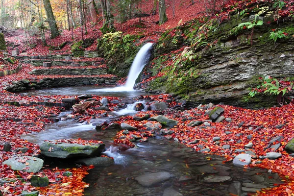 Kleiner Wasserfall im Buchenwald im Herbst. — Stockfoto