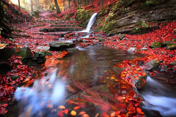 Petite cascade dans la forêt de hêtres à l'automne . — Photo