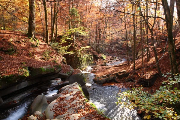 Cascada en un bosque de hayas en otoño . — Foto de Stock