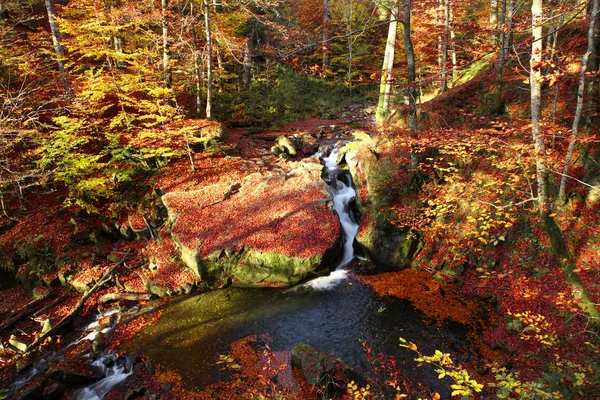Cachoeira em uma floresta de faia no outono . — Fotografia de Stock